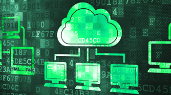 Campus-wide Network Solutions